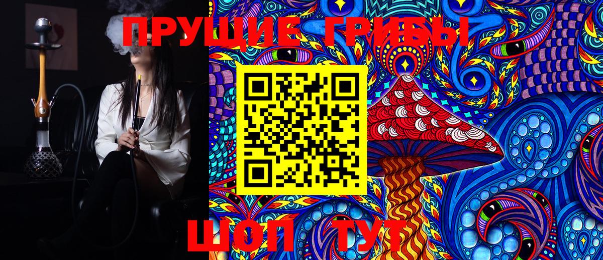 Псилоцибиновые грибы MAGIC MUSHROOMS  Вход с VPN  Борзя 