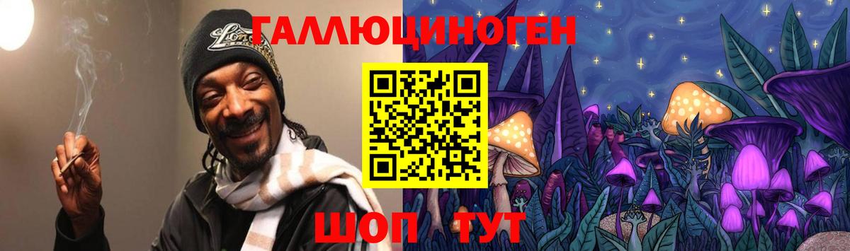 Псилоцибиновые грибы Psilocybine cubensis Борзя